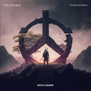 Taleman — Watching Ice Melt (Original Mix)