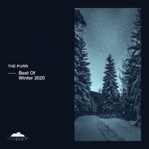 Tebra feat. Elly Ball — The Call (DSF Remix)