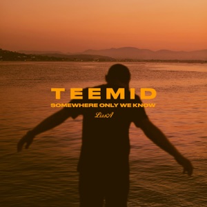 Teemid — Somewhere Only We Know