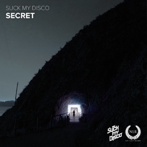 Terra V. Vs. D.H.D. — Secret (Radio Mix)