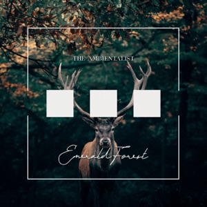 The Ambientalist — Emerald Forest