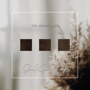 The Ambientalist — On A Good Day