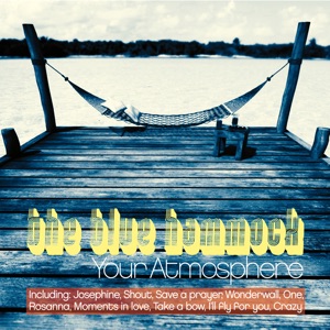 The Blue Hammock — Shout