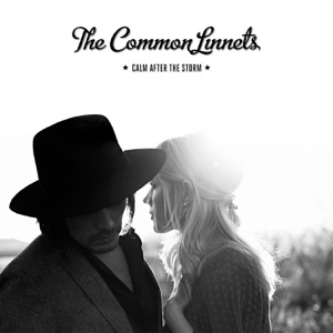 The Common Linnets — Calm After The Storm