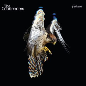 The Courteeners — You Overdid It Doll