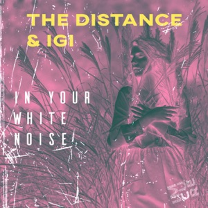 THE DISTANCE/IGI — Wanderer