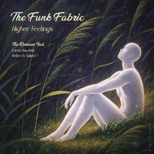 The Funk Fabric — Higher Feelings (Return To Saturn Remix)