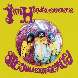 The Jimi Hendrix Experience — The Wind Cries Mary