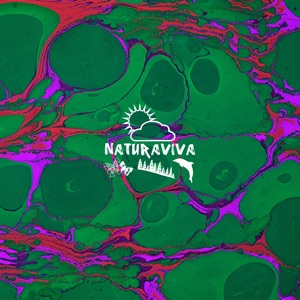 The Real Carter — Minerva (Sebastian Campo remix)