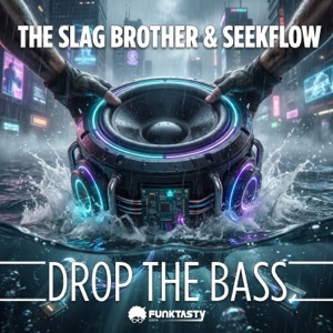 THE SLAG BROTHERS/SEEKFLOW — Drop The Bass