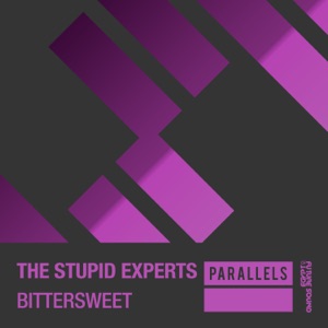 The Stupid Experts — Bittersweet (Extended Mix)