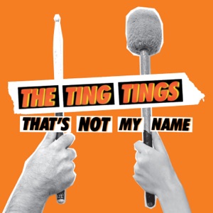 The Ting Tings — That's Not My Name