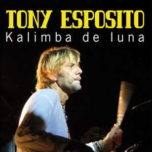 The Tropical Music Makers — Kalimba de luna