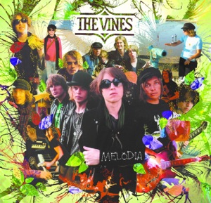 VINES, The — Hey