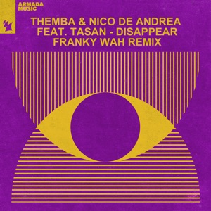 Nico de Andrea, THEMBA (SA), Tasan — Disappear feat. Tasan (Franky Wah Extended Remix)