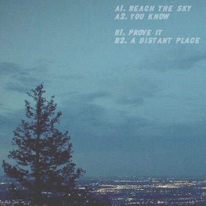 Theny — Reach the Sky