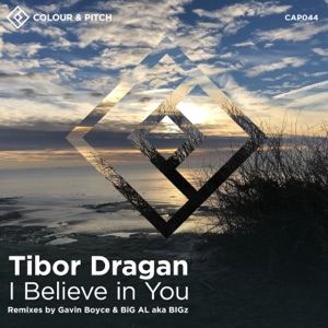 Tibor Dragan — I Believe in You (Big Al Remix)