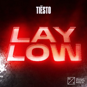 tiësto — lay low