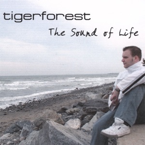 Tigerforest — A New Beginning