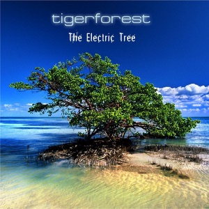 Tigerforest — Sunrise Over Key West