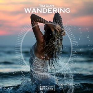 Tim Dian — Wandering