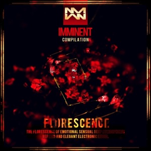 Tim Schaufert — Horizons