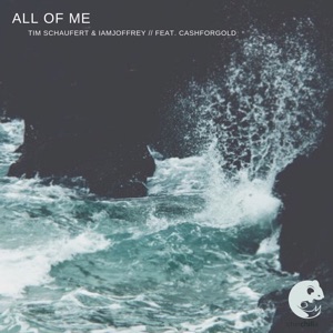 Tim Schaufert & Iamjoffrey feat. CASHFORGOLD — All Of Me