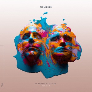 Tinlicker — Always Will (feat. Nathan Nicholson) [Mees Salomé Extended Mix]