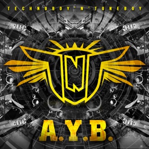 TNT — AYB