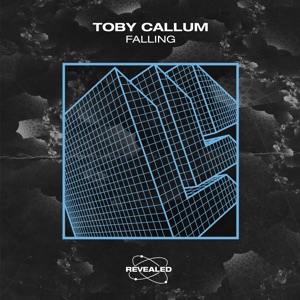 Toby Callum — Falling - 0:00