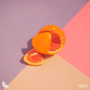 Tom Ferry — Play My Song