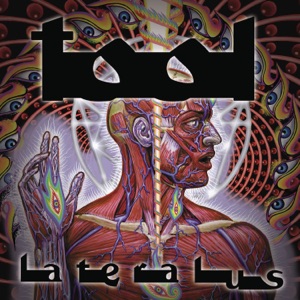 Tool — Schism