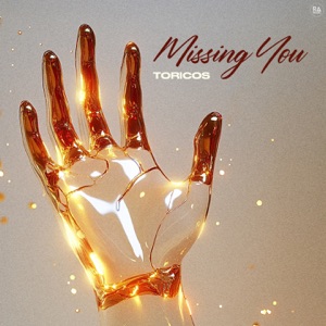 Toricos — Missing You