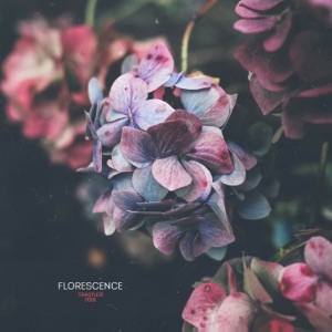 Trastler — Radiance