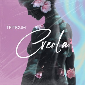 Triticum — Creola