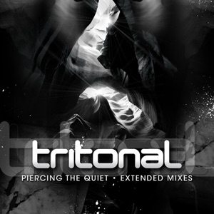 Tritonal feat Jenry R — Something New (Extended Original Mix)