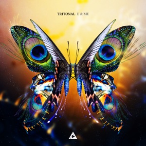TRITONAL/SHANAHAN — Show U Love