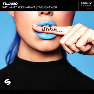 Tujamo — Say What You Wanna (Ali Bakgor Remix)