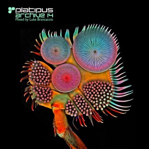 Union Jack — Nuclear Soul (Original Mix)