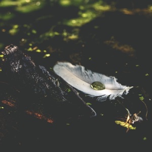 V Sag feat. Alexandra McKay — Feather (Stoto Remix)