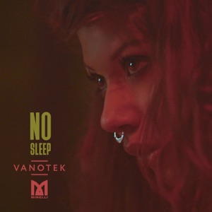 Vanotek & Minelli — No Sleep
