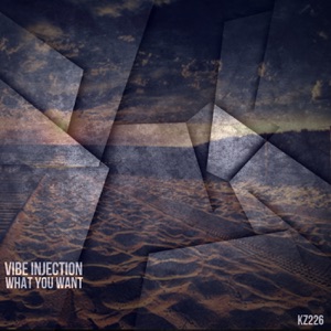 Vibe Injection — What You Want