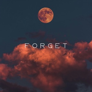 vibessmusic — Forget