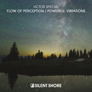 Victor Special — Flow Of Perception