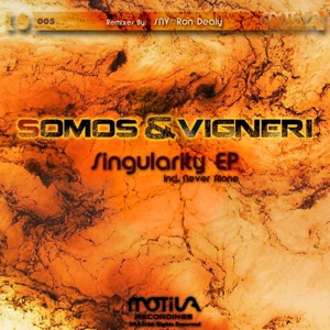 Vigneri — In The End (Original Mix)