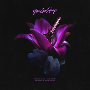 Vindata & Electric Mantis — You Can Stay (feat. Liv Dawson)