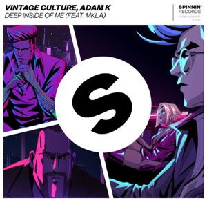 Vintage Culture — Deep Inside Of Me (feat. MKLA)