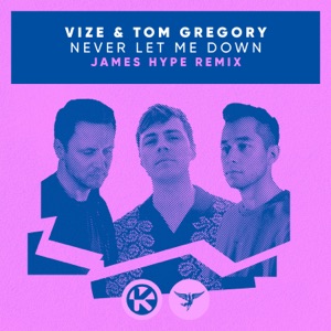 VIZE & TOM GREGORY — NEVER LET ME DOWN