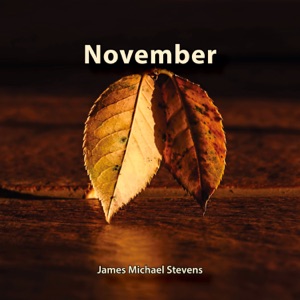 VL b2b HH — Liquid November