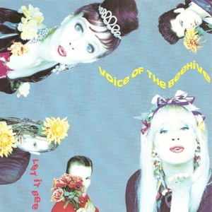 Voice Of The Beehive — Don't Call Me Baby